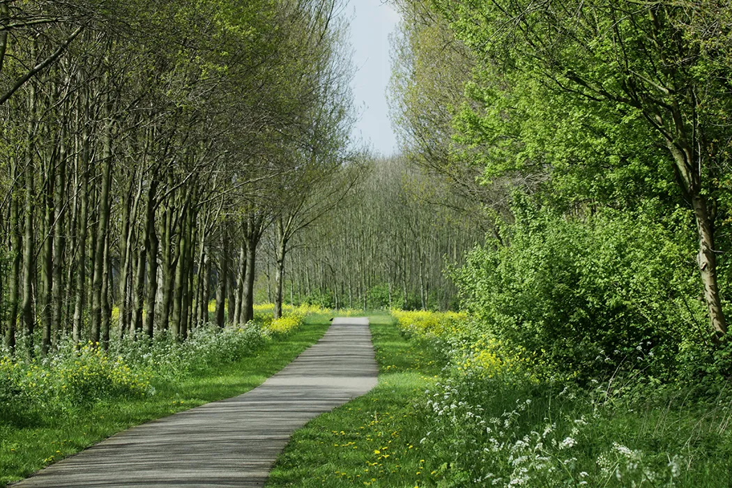 Het pad naar duurzaamheid Het pad naar duurzaamheid